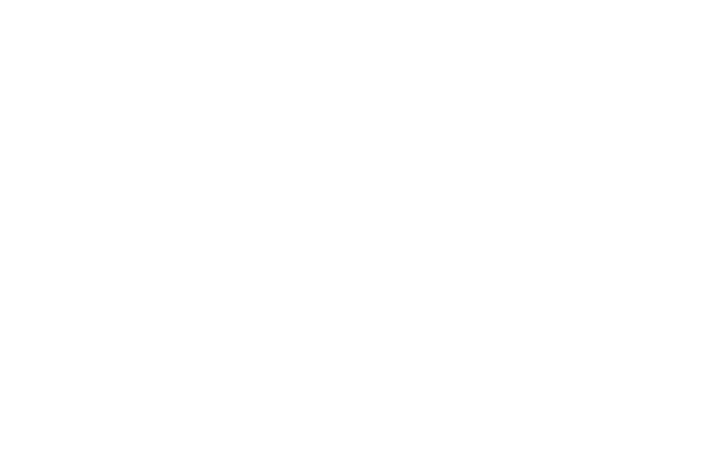whizible